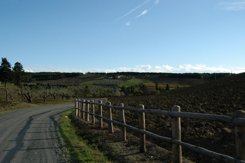 BIBBONA CAMPAGNA